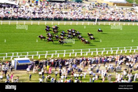 Palace of Holyroodhouse Stakes 2022 Result .